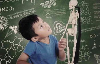 শিশুর হাড় বৃদ্ধিতে যেসব খাবার খাওয়াবেন