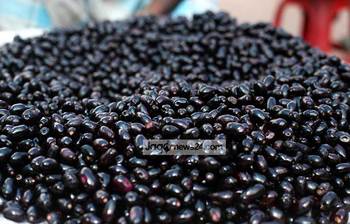 রাজধানীতে মৌসুমী ফলের সমাহার