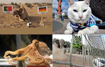 বিশ্বকাপ ফুটবলের জয়-পরাজয়ের গণনাকারী প্রাণীরা