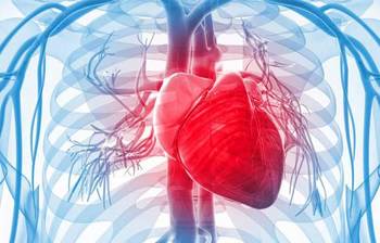 যে কারণে ডিম খাবেন