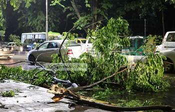 কালবৈশাখী ঝড়ের তাণ্ডব