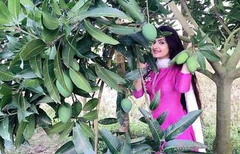 আম বাগানে পরী