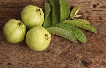 গরমে অসংখ্য রোগ থেকে বাঁচাতে পারে পেয়ারা