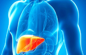 ওষুধ ছাড়া ঘরোয়া উপায়ে যেভাবে দূর করবেন ফ্যাটি লিভারের সমস্যা