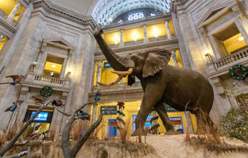 বিশ্বের দর্শকপ্রিয় ৭ জাদুঘর