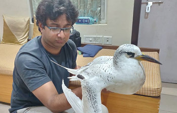 ঘূর্ণিঝড় ফণিতে উড়ে এসেছিল যে অচেনা পাখি