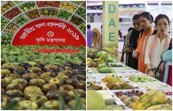 রসালো ফলের মেলা