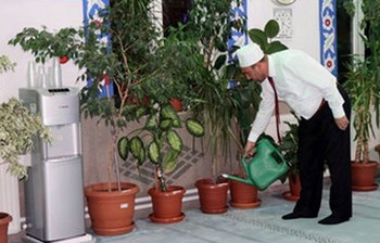 গাছপালার সবুজে সুসজ্জিত যে মসজিদ