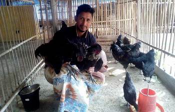 মুরগি পালন করে শিরিনার ভাগ্য খুলেছে