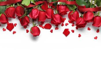 জেনে নিন প্রেম নিবেদনসহ গোলাপ ফুলের ৭টি অসাধারণ ক্ষমতার কথা