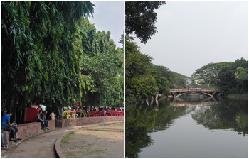 সবুজের টানে রবীন্দ্র সরোবরে