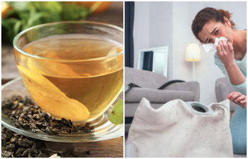 ওষুধ না খেয়ে ডাস্ট এলার্জি দূর করবেন যেভাবে