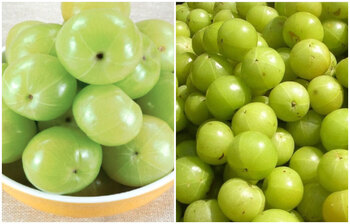 প্রতিদিন সকালে আমলকি খেলে যেসব উপকার পাবেন