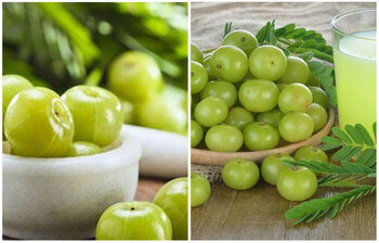 নিয়মিত আমলকি কেন খাবেন?