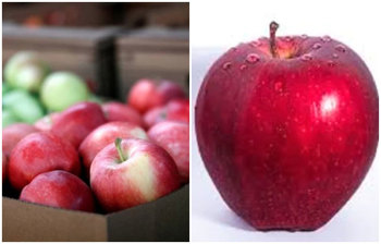 যে নিয়মে আপেল খেলে ডায়াবেটিসের ঝুঁকি কমবে