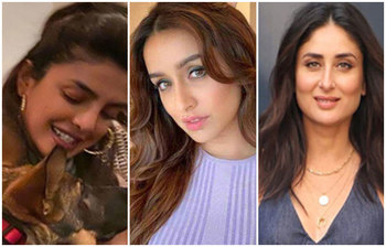 হোম কোয়ারেন্টাইনে থেকে যা করছেন বলিউড তারকারা