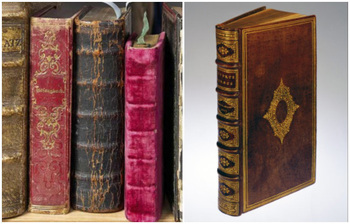 মানুষের চামড়া দিয়ে বাঁধানো হয়েছে যেসব বই