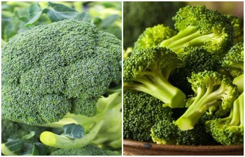 যে কারণে নিয়মিত ব্রকোলি খাবেন