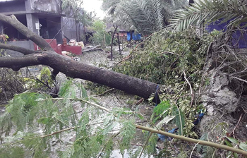 বুলবুলের আঘাতে ক্ষতবিক্ষত জনপদ