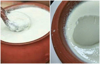 নিয়মিত কেন দই খাবেন?