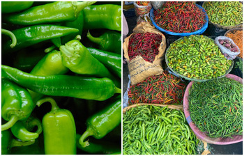 কাঁচা মরিচ সংরক্ষণের সহজ উপায়