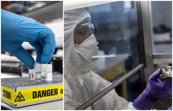 চীনে বাদুড় নিয়ে গবেষণা চালানোর চাঞ্চল্যকর তথ্য প্রকাশ