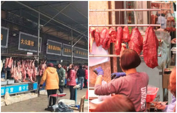 করোনা ছড়াতে চীনের যে বাজারটি দায়ী