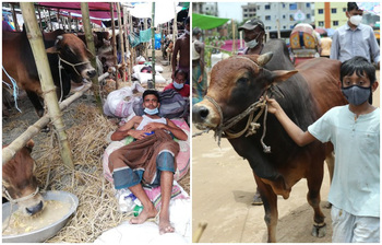 আজকের আলোচিত ছবি : ১৭ জুলাই ২০২১