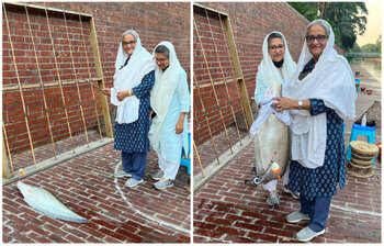 আজকের আলোচিত ছবি: ২৮ অক্টোবর ২০২২