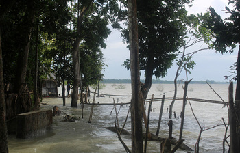 আজকের আলোচিত ছবি : ২৫ মে ২০২১
