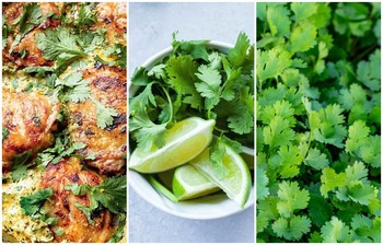 শীতকালে ধনেপাতা কেন খাবেন?