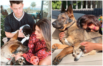 নিক-প্রিয়াঙ্কার ঘরে নতুন অতিথি!