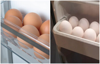 ফ্রিজে ডিম রাখলে কী হয়?
