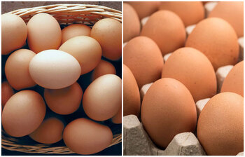 ডিম খাওয়া ছাড়াও যেসব কাজে ব্যবহার করা যায়