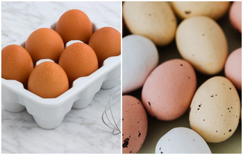 সহজে পচা ডিম চিনবেন যেভাবে