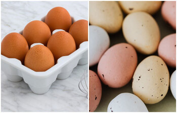 সপ্তাহে কয়দিন ডিম খাওয়া উচিত?