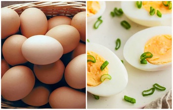 শরীরে কোলেস্টেরল থাকলে কি প্রতিদিন ডিম খাওয়া যায়?