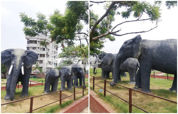 হাতির দেখা মিলবে হাতিরঝিলে