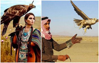 দেশে দেশে বাজ খেলা