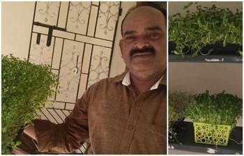 শাক চাষ করে মাসে ৮০ হাজার টাকা আয়