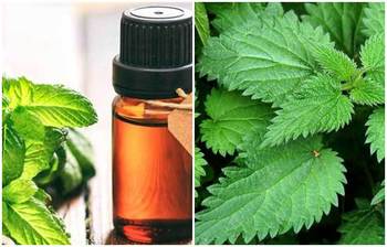 বেশি হাঁচি হলে যা করবেন