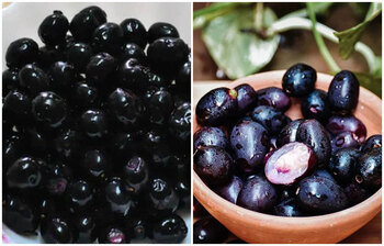 জামের উপকারিতা জেনে নিন