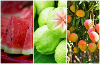 যেসব ফল এই গরমে শরীর ভালো রাখবে