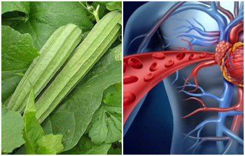 এই সময়ে ঝিঙে কেন খাবেন?