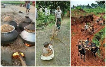 গ্রাম বাংলার যে ছবি আপনাকে মুগ্ধ করবে