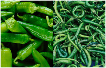 ৬টি মারাত্মক রোগ থেকে দূরে রাখবে কাঁচামরিচ