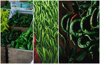 যে কারণে ডায়েটে কাঁচামরিচ রাখবেন