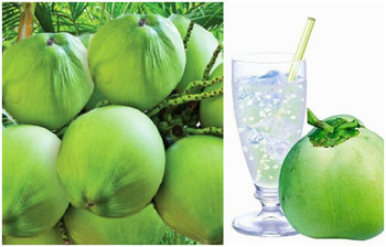 ডাবের পানি যেসব রোগের ওষুধ হিসেবে কাজ করে