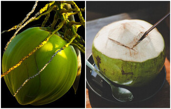 ইফতারে যে কারণে প্রতিদিন একটি করে ডাব খাবেন