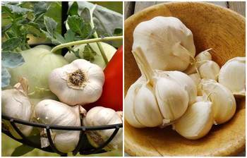 উচ্চ রক্তচাপ কমাতে রসুনের উপকারিতা